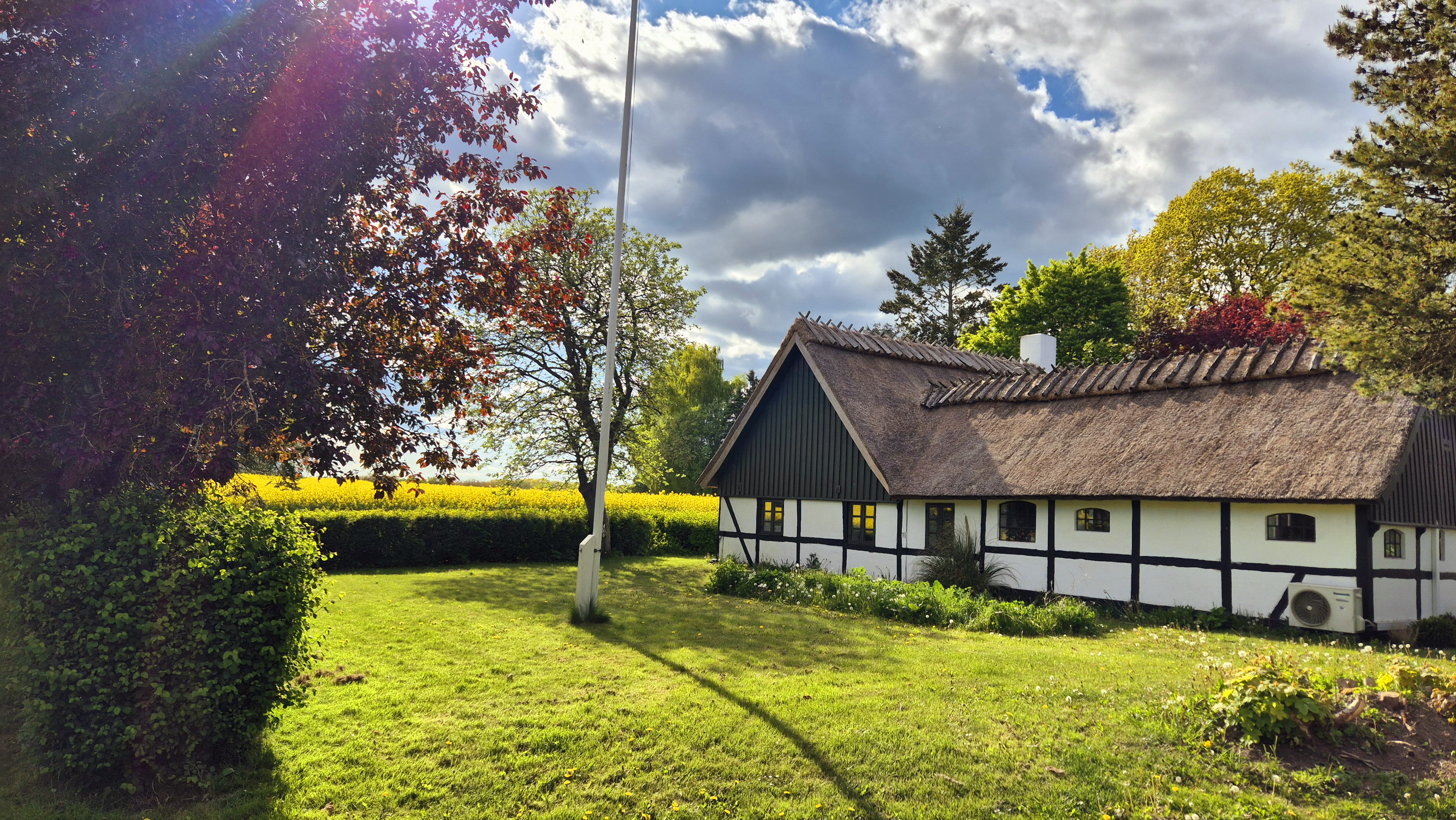 Bjælkehus i skovbrynet